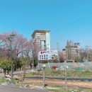 여명본점