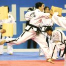 고구려 태권도 이미지