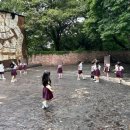 파프리카유치원 이미지