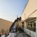 솔지카페 이미지