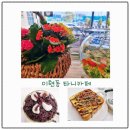 진주공설운동장 | 진주 이현동 작은 정원 옛날 팥빙수 맛있는 디저트가 있는 타니 카페