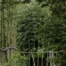 제주여백 스테이 이미지