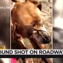 무지개다리 이미지