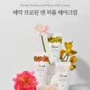 아카시아미용실 - 영광군 신남로4길 7 | 노워시트리트먼트 단백질 퍼퓸 헤어크림 헤어에센스 추천 헤막 아카시아 솔직후기