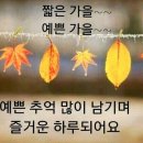 고결함과 '석인성시(惜吝成屎)' 이미지