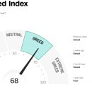 가온나무 이미지