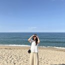 비엔드케이motors | 강릉🌊