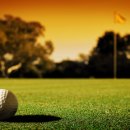 필드로실내골프연습장 이미지