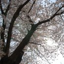 능북초등학교 이미지