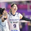 박정아 카카오 검색결과