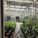 청강정밀 | 2025 Bayer 글로벌 인턴십 프로그램 후기: 1탄