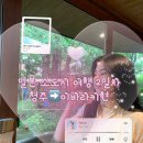 일본 소도시 이바라키 여행에서 돈키호테 위스키, 일본 편의점 구매 후기 2일차