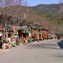 충청도건강원