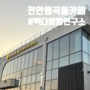천안 용곡동 빽다방 빵연구소, 방문 후기