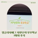 엄마랑 도란도란 책 놀이(2기) | 잉글리시에그 자연주의 부모학교 1회차 후기｜아이 선택권·주도권 키우는 ‘환경 육아’ 배운 날