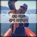 화풀이쭈꾸미 이미지