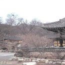 [펌] 절. 전각. 불탑. 부도. 석등