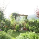 꽃보다강아지 이미지