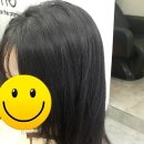 디토헤어 이미지