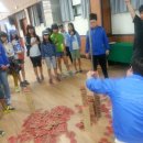 다송초등학교 이미지