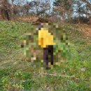 대구장의사