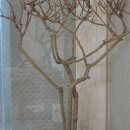 산뜨락힐링펜션 이미지