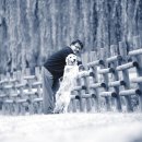 김동규 10월의 어느 멋진 날에 이미지