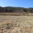 포항시북구52 이미지