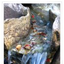 돌마루식당 이미지