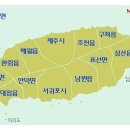 제주부동산중개사무소 이미지