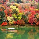 구) 터미널 주차장 안 matcha-jp.com