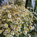 컨츄리로드커피 이미지