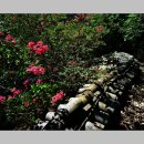 파산정(巴山亭) 이미지