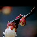 휴아일랜드 이미지