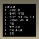 [250517] 그린캠프페스티벌 1일차 후기