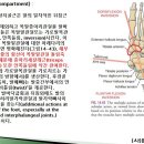 [11강-발목/발-20](99강) 뒤쪽구획 근육 관절운동, AAFD(후천성 성인 평발변형) 병리기전등 이미지