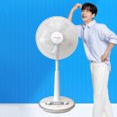 2026 가정용 선풍기 추천 TOP5 | 다이슨, 신일, 한일부터 접이식 무선까지 한번에 비교