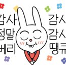 펫팸푸드 이미지