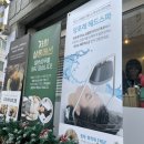 프리티헤어샵 이미지