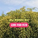 까페개화1길