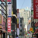 김가희헤어 | 명동역 미용실 유목민 추천 중단발 엘리자벳펌 후기 할인꿀팁