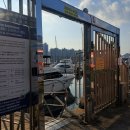 호텔 와이(Y) | 부산 여행 광안리 요트투어 [부산요트투어 와이홀릭] 노을뷰 직관 후기 ❤️‍