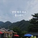 홍스테이 이미지