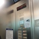 (주)현대백화점 중동점 - 2550 | (주)현대백화점 중동점