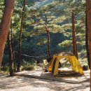 왕피천 숲속 캠핑장 이미지