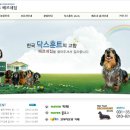 베르네집 네이버블로그
