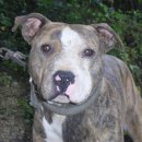 창용농장 이미지