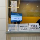 국민1태권도 | 청와대 개방 예약 관람 꿀팁 태권도 꼭 보세요