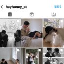 서리풀4길 3 이미지