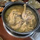 참옻나무촌닭 네이버블로그